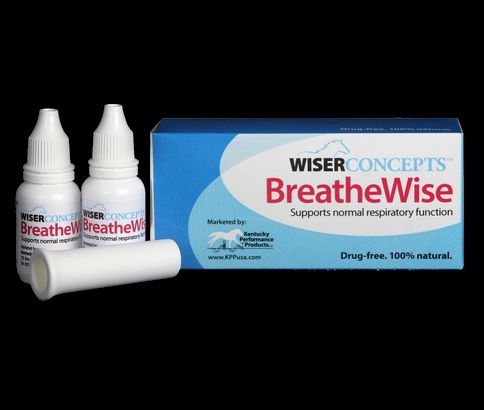 breathwise